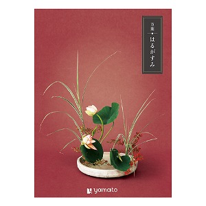 �J�^���O�M�t�g ���t �͂邪����